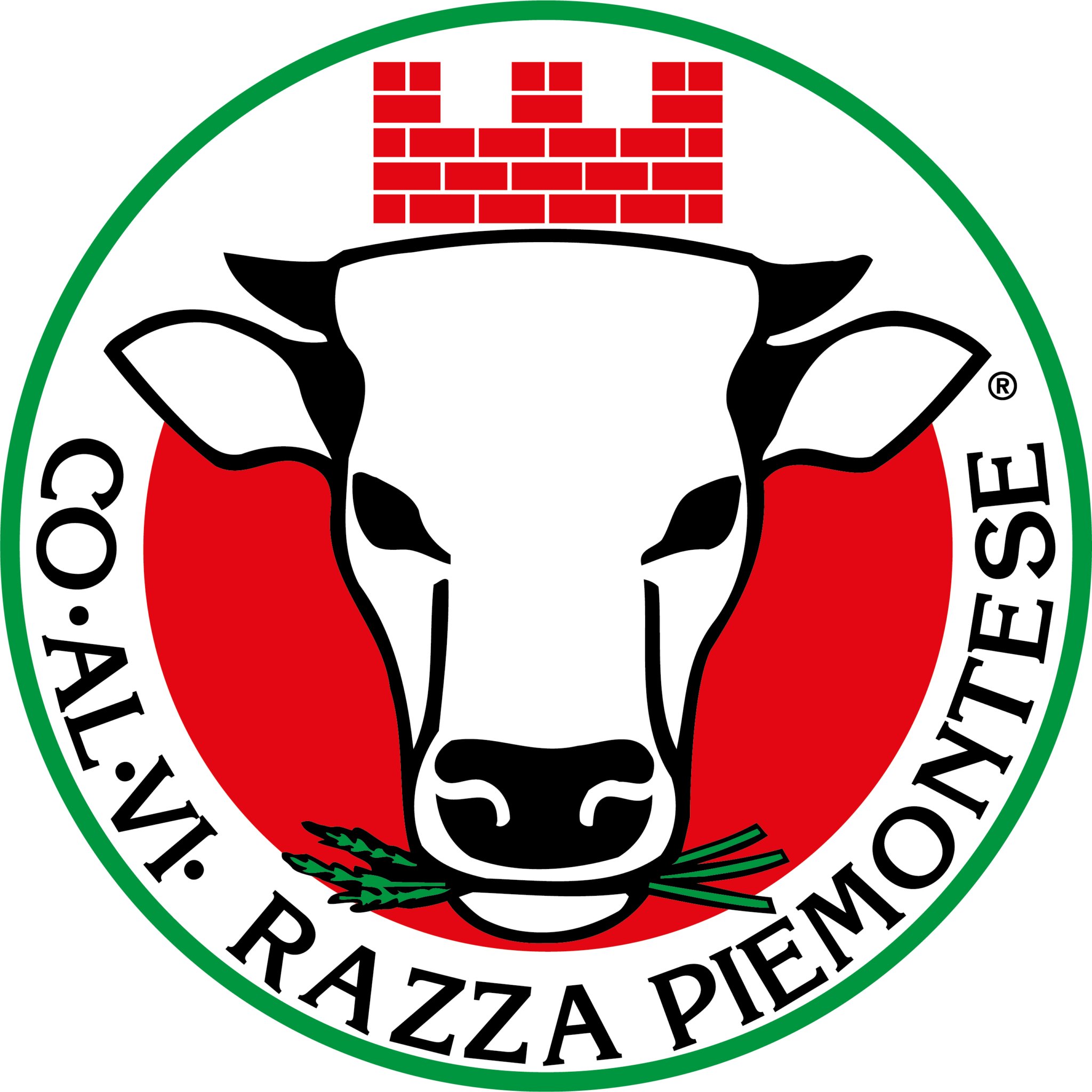 Logo_Coalvi